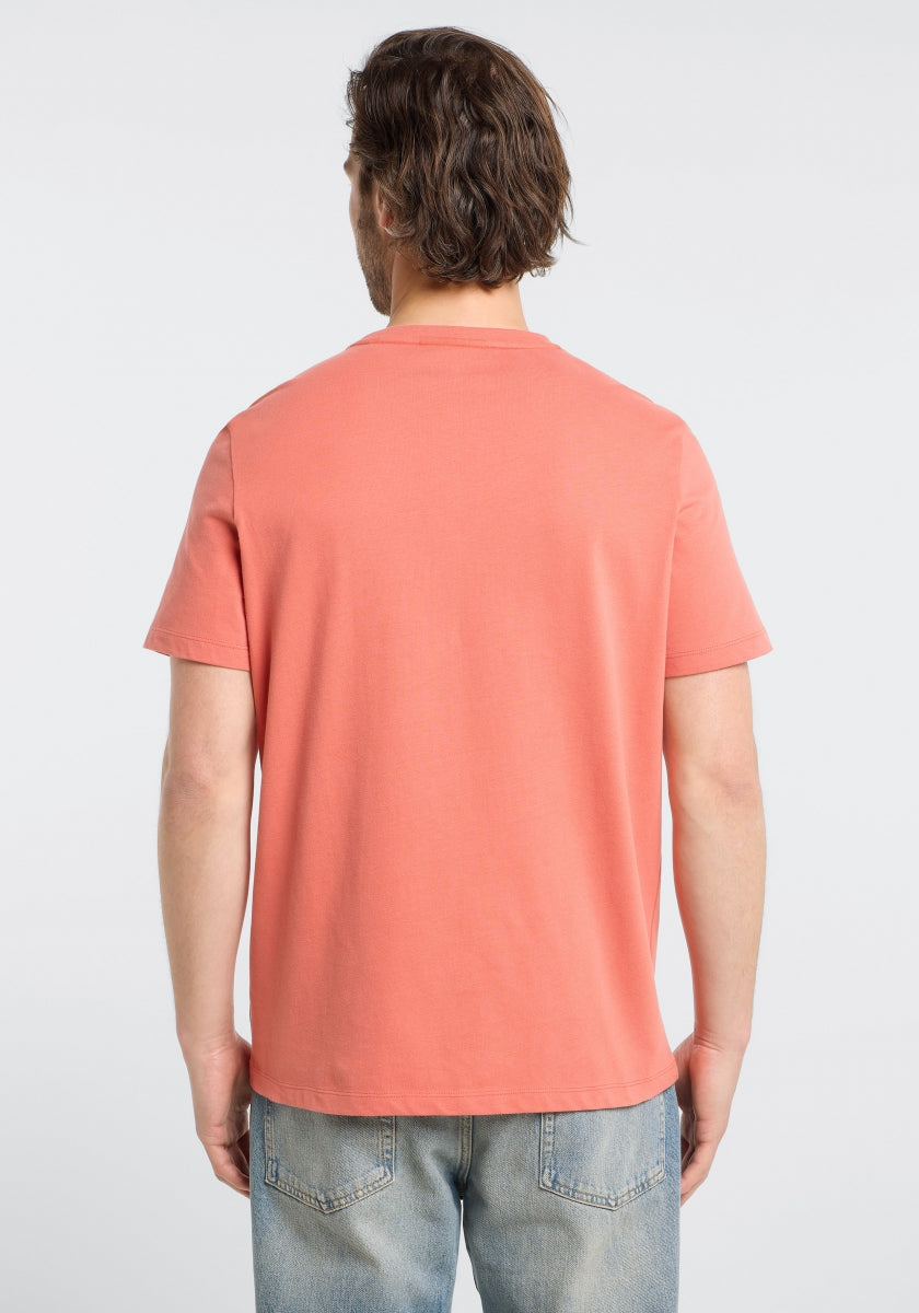 Brick Red